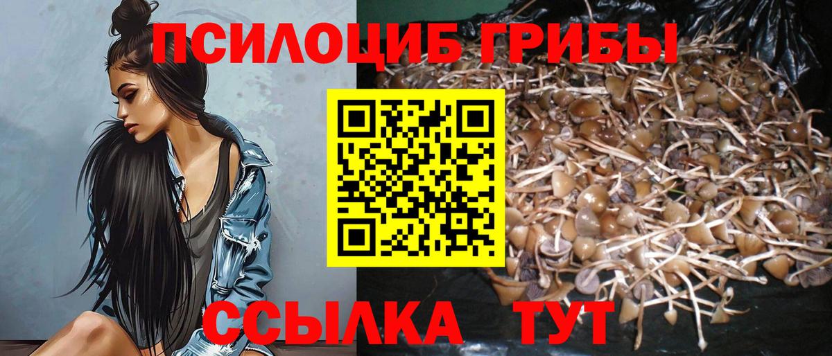Псилоцибиновые грибы мухоморы Асбест